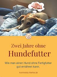 Zwei Jahre Ohne Hundefutter Kommst Du Hierher Hunde Futter Hunde Ernahrung Hundefutter