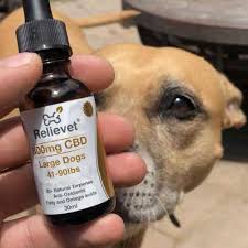 Note that hemp plants that are used are normally the industrial type. Cbd Oil For Dogs Relievet