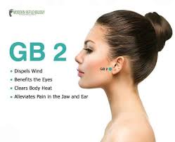Pin By Chin Meh On Healthy Acupressure Therapy Acupressure Massage Acupressure Treatment