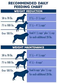 Blue Buffalo Feeding Chart Large Breed Puppy Best Picture