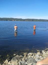 Informed rvers have rated 17 campgrounds near town creek, alabama. Pin On Well Traveled