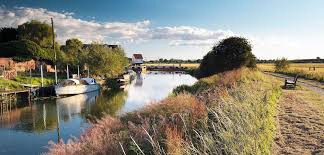 Following the government's announcement earlier today, basingstoke and deane will enter tier 4: Pests Tewkesbury Borough Council