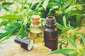 Download Everything You Need To Know About Making Marijuana Tincture Rqs Blog