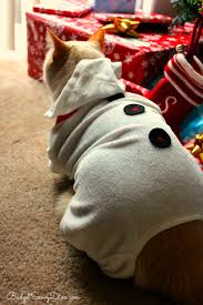 Petsmart Christmas Lookbook Budget Savvy Diva