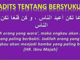 Dengan kesabaran segala hal di dunia maupun di akhirat dapat tercapai. Hadits Tentang Bersyukur Dan Keutamaan Syukur Atas Nikmat Allah