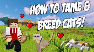 Just like in real life, cats enjoy fresh fish and you can tame them by giving it to them. How To Tame Cats In Minecraft Youtube