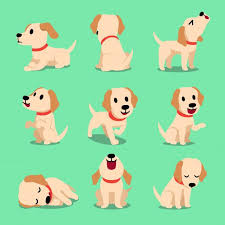 Cartoon Character Labrador Dog Poses Dog Poses Labrador Dog Dog Illustration