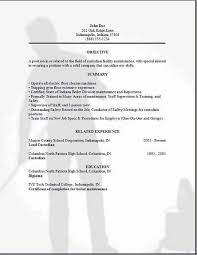 Custodian Resume Examples Samples Free Edit With Word