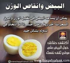 حقائق لا تعرفها عن البيض ثقف نفسك