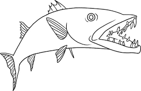 1971 plymouth hemi cuda muscle car to color in. Dangerous Barracuda Fish Coloring Pages Best Place To Color
