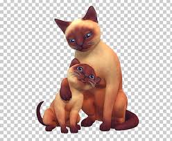 Well, if you live in one of the states that allow pet raccoons, that dream could be a reality. The Sims 4 Cats Dogs The Sims 3 Pets The Sims 2 Pets Png Clipart