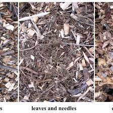 They don't tie up nitrogen in the root zone; Mulching With Arborist Chips Mother Earth News