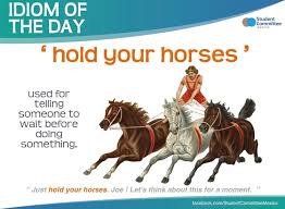 Hold Your Horses Idiom Of The Day English Idioms Idioms English Lessons For Kids