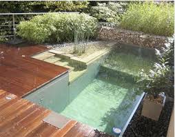Pin By Jenny De On Swimming Pools Natural Swimming Ponds Natural Pool Natural Swimming Pools