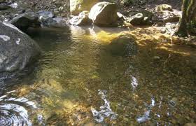 Anda teruja?jangan lupa untuk like dan share ya. Taman Reakrasi Batu Hampar Tempat Menarik Di Kedah Tempat Menarik