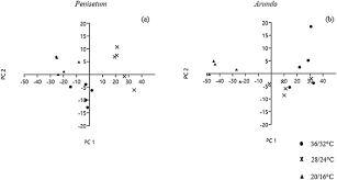 Toxicity • report of fatal nitrate poisonings in cattle fed solely on a diet of napier grass. Growth And Photosynthetic Acclimation To Temperature In Hybrid Napier Grass Pennisetum Purpureum P Americanum Cv Pakchong 1 And Giant Reed Arundo Donax Sciencedirect
