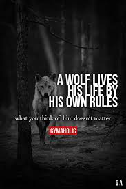 Wolf S Creed Meister Zitate Lebensspruche Inspirierende Spruche