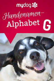 Trainieren sie, den namen ihres chefs und ihren eigenen zu buchstabieren, ohne auf die liste zu schauen. Hundenamen Alphabet Hundenamen Hunde Namen Fur Hunde