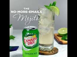 The No More Emails Mojito Recipe Canada Dry 2 Oz Light Rum 3 Oz Rosie S Mojito Mix 3 Oz Ginger Ale Fun Drink Recipe Ginger Ale Cocktail Recipe Using Ginger