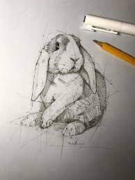 40 Free Easy Animal Sketch Drawing Ideas Inspiration Brighter Craft Inspirationartdrawi Animal Sketches Animal Drawings Sketches Art Inspiration Drawing