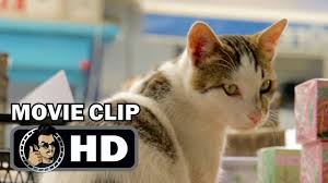 Kedi Movie Clip Deniz In The Market 2017 Cat Documentary Hd Youtube