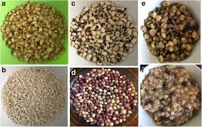 Image result for Stomatostemma monteiroae