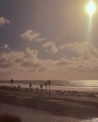 🎼Jesse Nova🎶 (@jessenova) • Instagram photos and videos