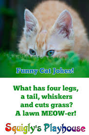Ok everyone, let's hear your favorite space puns! Hilarious Cat Jokes For Kids Squigly S Playhouse