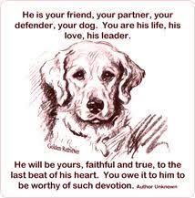 Missing My Dog Quotes Quotesgram Via Relatably Com Dog Quotes Dogs Pets