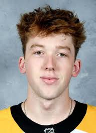 Player photos for the 2020-21 Green Bay Gamblers at hockeydb.com