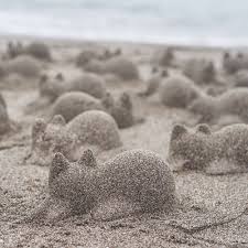 And you are now finally ready to purchase sand! Sand Colossal