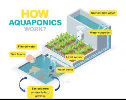Aquaponics Current State And Prospectives Farming Connect
