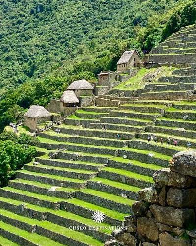 Terrazas de Machu Picchu