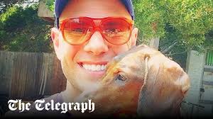 First-time author bags $1 million deal to write true story about his  adopted dog and its fatal tumour