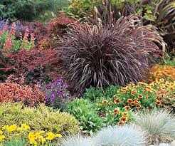 21 Of The Best Ornamental Grasses To Add Unbeatable Texture To Your Garden Grasses Landscaping Ornamental Grasses Planting Flowers
