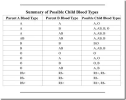 my blood group is b positive and my husbands blood group is