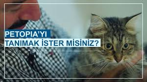 Umraniye Pet Kuafor Kedi Kopek Tras Ve Banyo Umraniye Veteriner