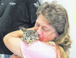 Fifty animals adopted in Sampson's first 'Clear the Shelter'