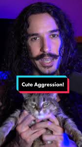 Do you want to be in my next video? #cuteaggression #cutecat #metalhead
