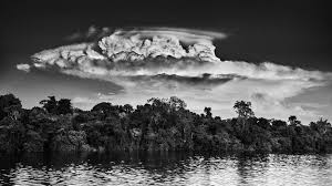 Artists love using this sort of palette to add personality to their work. Amazon In Pictures Sebastiao Salgado S Last Frontier Bbc News