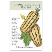 Honey Boat Winter Delicata Squash Seeds Winter Squash Varieties Squash Seeds Squash Varieties