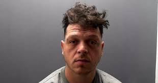 Man and child blow up cash machines then hide in tree trunk