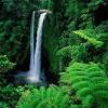 Formosa is a municipality located in the state of goiás, brazil, approximately 80 kilometers east of brasília. Https Encrypted Tbn0 Gstatic Com Images Q Tbn And9gcqsz0u9jcwmynvr4msqpbntuzzlfbtwyq Casgxbqgqdkhgwzvd Usqp Cau