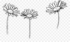 Royalty free, no fees, and download now in the size you need. Black And White Flower Png Download 832 528 Free Transparent Drawing Png Download Cleanpng Kisspng