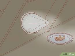 Squirrels prefer living in the open air, so if they occupy the shed, garage, or even attic, they won't do that for a prolonged amount of people, what can scare the squirrels out of the yard? 3 Ways To Get Rid Of Squirrels In The Attic Wikihow