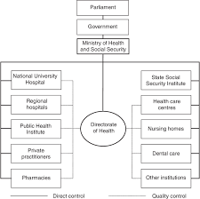 Organizational Chart Of The Health Care System 2003