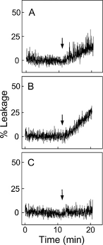 Отверстие 8 h11 = 8 + 0.090/0 мин. Permeabilization Of The Mitochondrial Outer Membrane By Bax Truncated Bid Tbid Proteins As Sensitized By Cardiolipin Hydroperoxide Translocation Journal Of Biological Chemistry