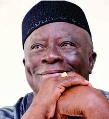 Adebanjo, Clark, others tell Buhari to Name politicians killing Nigerians