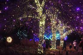 Green inside and out, denver botanic gardens began in 1951 and is one of top botanical gardens in th. Photos Blossoms Of Light At Denver Botanic Gardens The Know