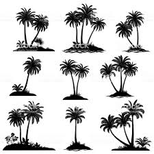 Beach Black And White Palm Tree Clip Art Pin On Tattoo